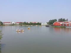 -上海长兴岛郊野公园