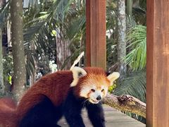 -可伦宾野生动物保护区