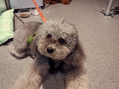 -E+有冰工厂·昆仑寒宫2(五角场店)