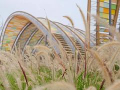 -中国天府农业博览园