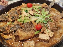 -老板恋上鱼(高新万达店)