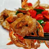 🦞🐟🦐🦑🐙🐡