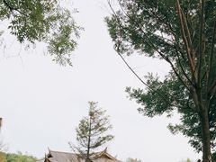 -武清南湖绿博园