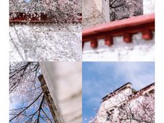 -布达拉宫