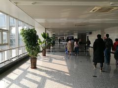 -石家庄正定国际机场-T2航站楼