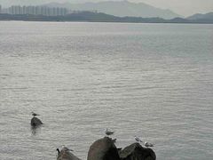 -深圳湾公园(南山区)