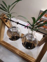 -兰瑜伽·普拉提