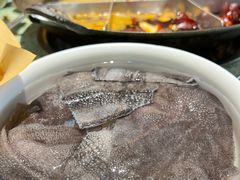 清油毛肚-五里关火锅(牛市口店)