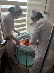 -巍阁月子中心(国贸店)