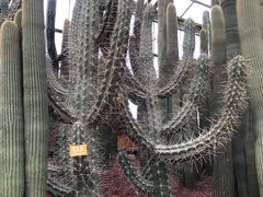 -南通洲际绿博园