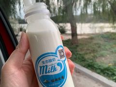 -大连铭湖国际观光牧场