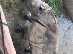 -济南野生动物世界