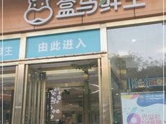 门面-盒马鲜生(文景博乐里购物广场店)