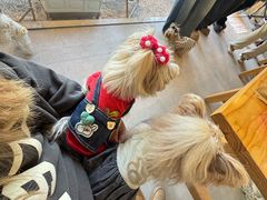 -J Create城市露营咖啡·简餐·宠物(上海动物园店)