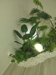 -HEYAN荷妍专业脱毛连锁机构