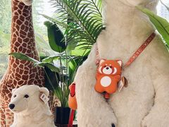 -安徽省地质博物馆