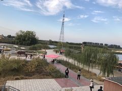 -白洋淀景区