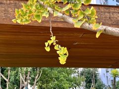 -漕溪路(地铁站)