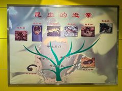 -上海昆虫博物馆