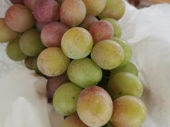 -马陆小张葡萄园农家乐