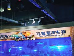 -成都浩海立方海洋公园