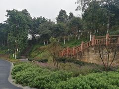 -大渡口区义渡公园