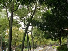 -四川大学(望江校区)