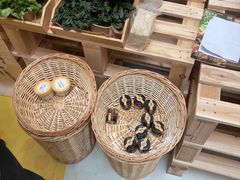 -巴奴毛肚火锅(七宝领展广场店)