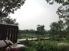 -武清南湖绿博园