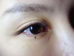 -睫仙の皮肤管理工作室