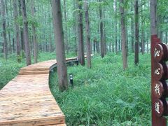 android_upload_pic-上海怡沁园度假酒店