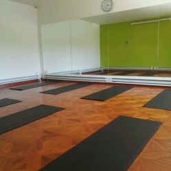 -一花一叶瑜伽生活馆