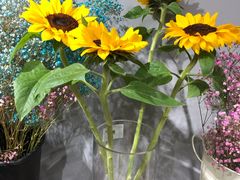 -何兮花店·气球派对鲜花店(马桥银春路万科城店)