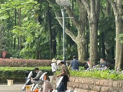 -人民公园-相亲角