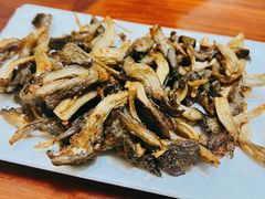 -嘉峪关伊俩寺烤肉店