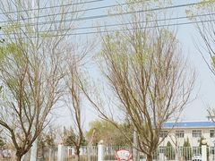 -敦煌莫高窟数字展示中心