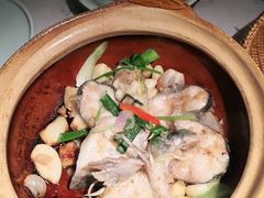 啫啫水库鱼头-大榕树下顺德菜(融创茂店)