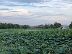 -长春市南湖公园