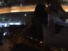 -339旋转餐厅(天府熊猫塔店)