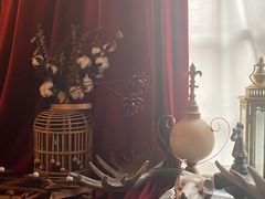 -雪灵魔法世界SHELLY’S TAROT(大良桂畔里店)