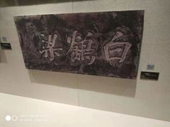 -白鹤梁水下博物馆