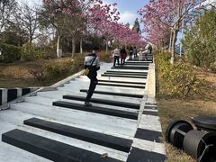 -盈香心动乐园