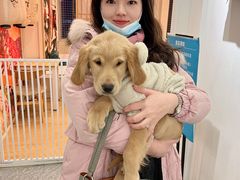 -Let's go狗咖·猫咖·奶狗·桌游(春熙路IFS店)