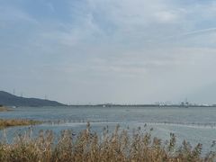 -苏州太湖湖滨国家湿地公园