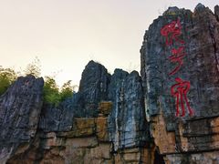 -洪湖悦兮半岛国际温泉度假村