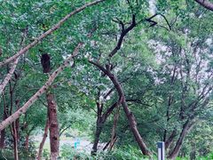 -上海市保健医疗中心