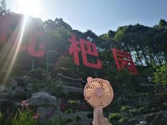 -枇杷园食为鲜火锅(南山店)