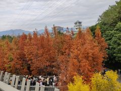 -福道