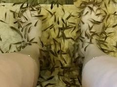 -中家鑫园温泉酒店鑫悦汤泉