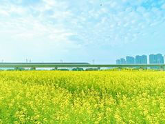 -光明小镇欢乐田园